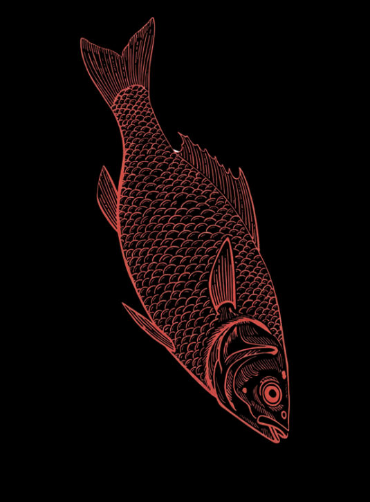 Delicium Custom Image